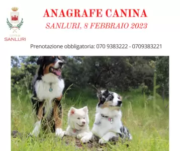 anagrafe canina