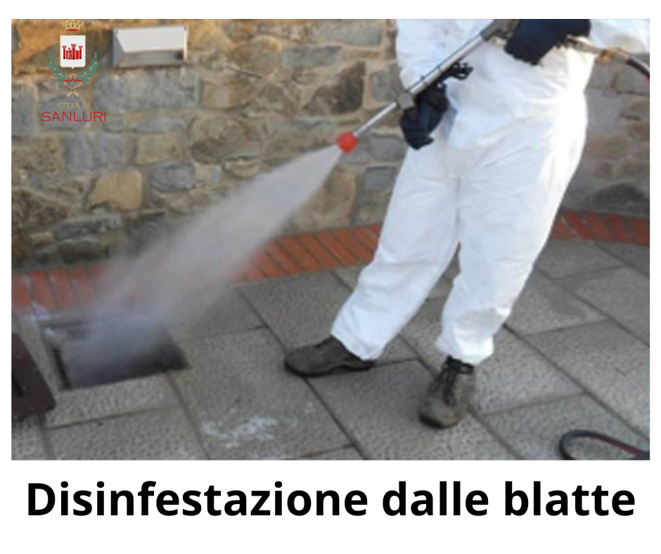 Disinfestazione dalle blatte